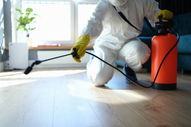 Affordable Infectious Disease Decontamination solutions in Breckenridge, MI
